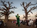 SEE: Models turn forest into catwalk