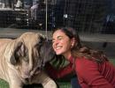 SEE: Ananya Panday is a TRUE pet lover