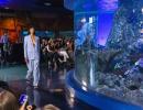 Oh fish! A fashion show in an aquarium