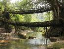 Meghalaya's Awesome Living Root Bridges