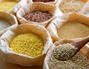 10 Millets To Include In Your Diet