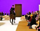 What's A Horse Doing At A Fashion Show?