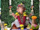 Lord Ganesha: Dil Ka Raja