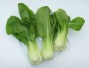 Recipe: Stir-Fried Garlic Bok Choy