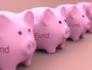 Which Mutual Fund Should You Invest In?