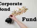 Want To Invest In Corporate Bond Funds?