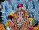 'Bappa Has Always Granted My Wishes'