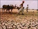 PM names top panel to monitor drought