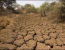 Nature's curse returns to haunt farm sector