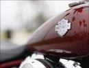 Harley-Davidson: Going the whole hog