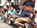 'Food Security Bill to cover about 3-times the number of poor'