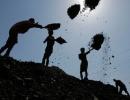 CIL proved to be government's big ticket for 2010