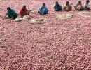 Why onion prices will remain high