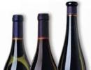 Falling sales hit wine firms