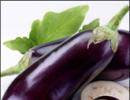 Bt brinjal and the politics of knowledge