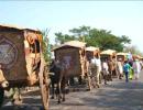 The inspiring story of Medak's women farmers