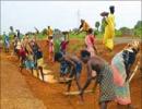 Rural employment guarantee scheme for NGOs