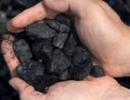 Govt to divest 10-15% in Coal India in 6 months