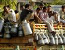 Rising milk prices: Common man suffers again