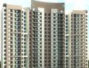 Realty firms' growth tapers in June quarter