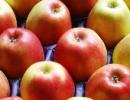 Apples get 40% cheaper, thanks to bumper crop