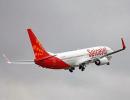 SpiceJet allots shares to four Wilbur Ross firms