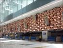 Delhi has a new airport