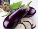 How Bt brinjal can kill Indian agriculture