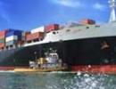 SCI to float global tenders to acquire 30 ships