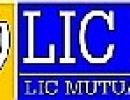 LIC MF loses over half of assets in first half