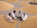 Food security: A real test for the Indian PM