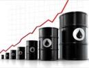 Oil firms to lose Rs 174,126 cr in 2011-12