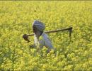 Soon, farmers can insure against losses from natural disasters