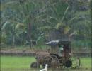 India likely to have near-normal monsoon