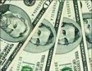 Strong dollar is in interest of economy: US Fed