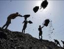 CIL eyes 15% stake in Aussie firm for $100 mn