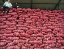 Raid unearths hidden stocks of 7,000 kg onions