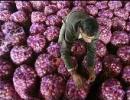 Pak ban on onion exports shocking, says India