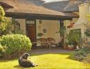 CIL staff wants to buy Gandhi's house in S Africa