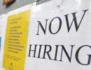 Job generation plummeted 21% between Jan-Dec