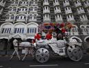 Bombay high court bans city's famous Victoria joyrides