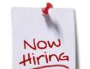 IT services, pharma could drive hiring in 2013