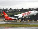 Losses have eroded SpiceJet's net worth: Auditors