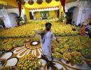 Mango ban: India threatens to drag European Union to WTO