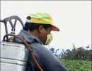 Budget: Excise duty hiked to 12 per cent on pesticides