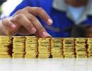 CBI looking into RBI's rationale for rushing 20:80 gold import scheme