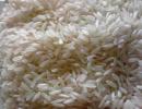 Rice exports from India may decline in 2013