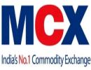 MCX-SX signs up 700 members; may start trading soon