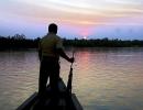 Sunken oil tanker threatens the Sundarbans