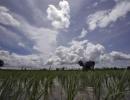 India seeks PRECISION in monsoon forecasting by 2017